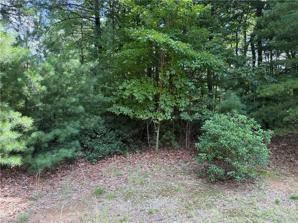 Lot 119 Rich Pine Drive Purlear, NC 28665
