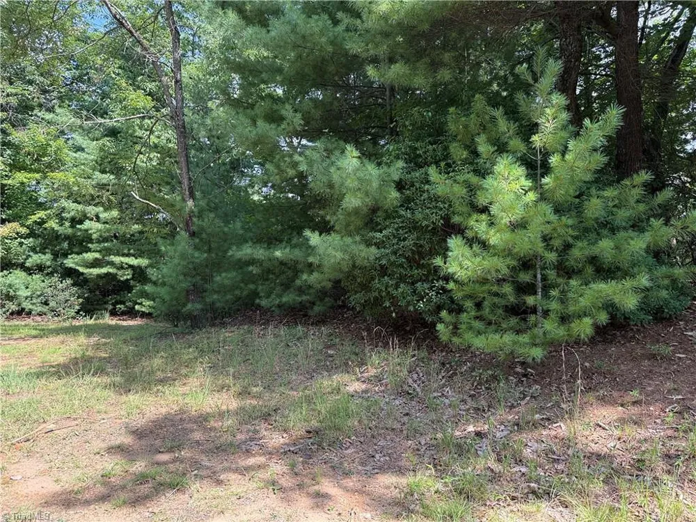 Lot 119 Rich Pine Drive Purlear, NC 28665