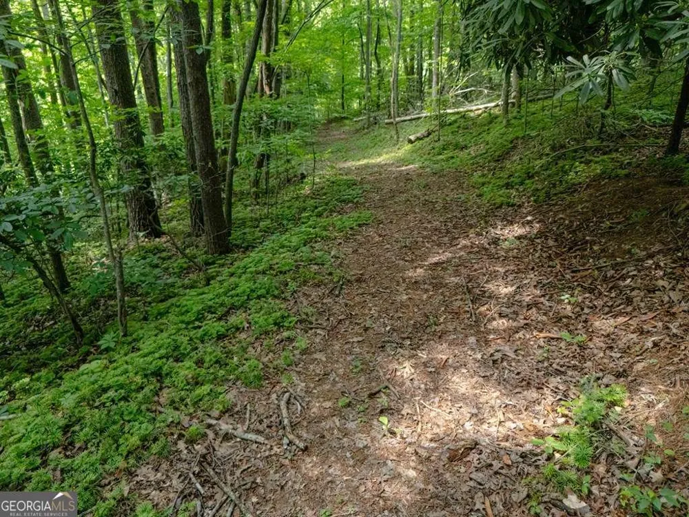 11 Treasure LN Blairsville, GA 30512