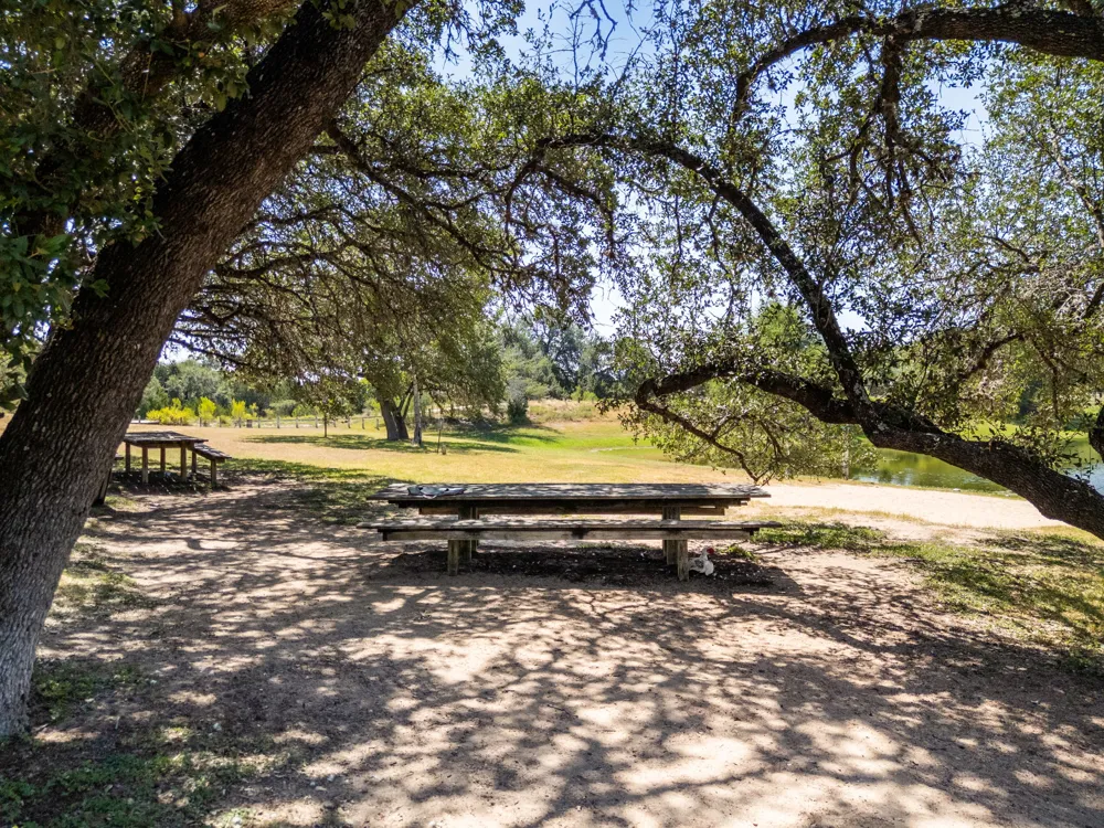 204 Deer Creek Circle Dripping Springs, TX 78620