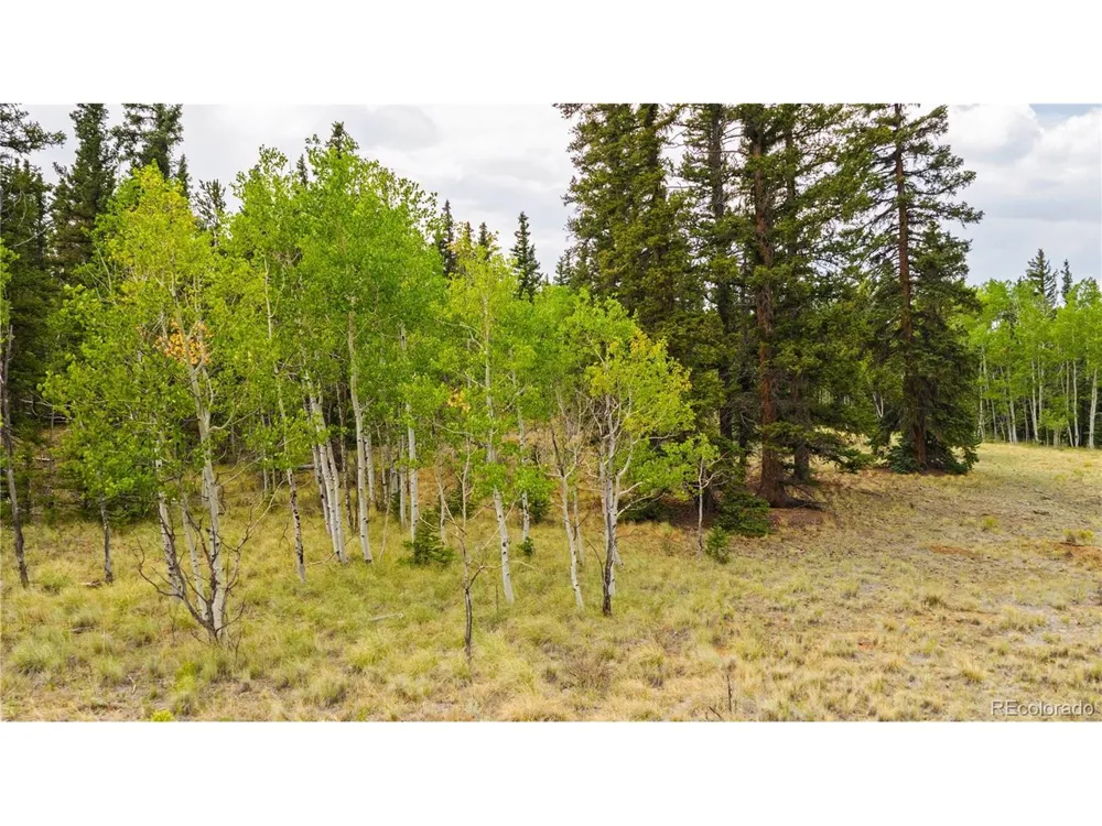 811 S Quarter Horse Road Como, CO 80432