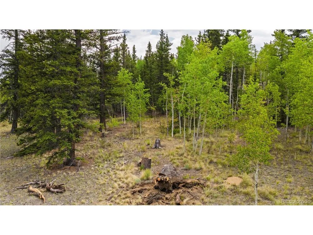811 S Quarter Horse Road Como, CO 80432