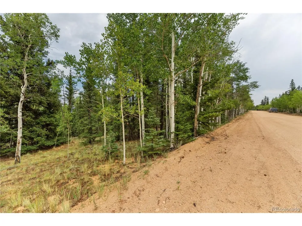 811 S Quarter Horse Road Como, CO 80432