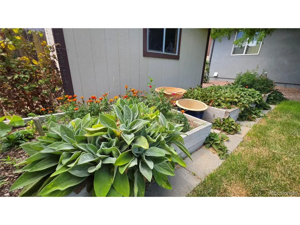 2224 Crestwood Lane Pueblo, CO 81008