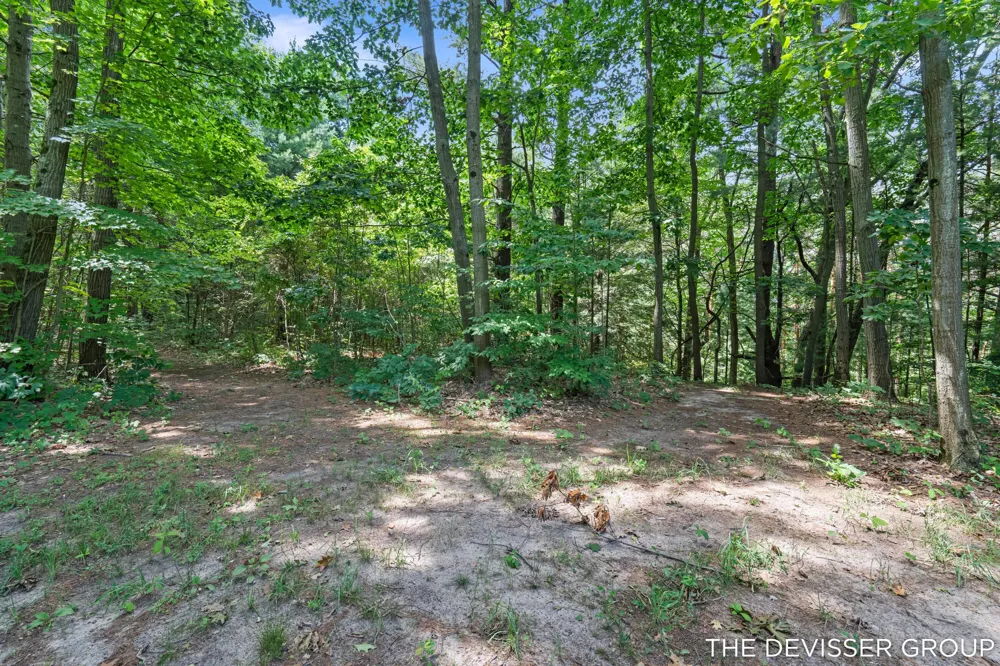 5837 Timber Bluff Trail Fennville, MI 49408