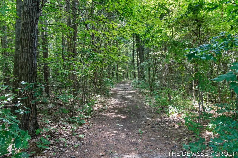 5837 Timber Bluff Trail Fennville, MI 49408