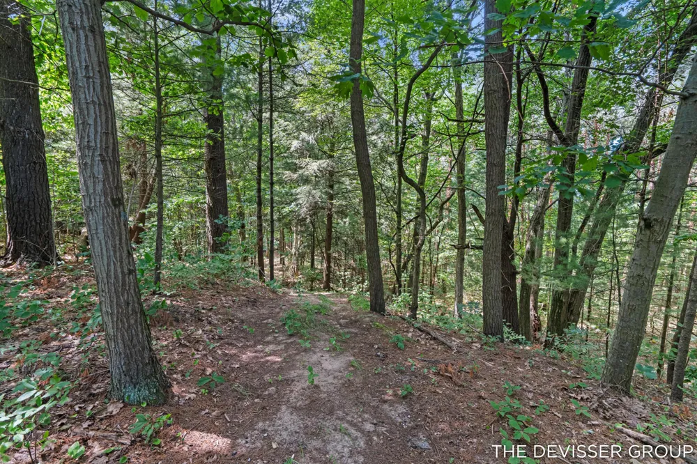 5837 Timber Bluff Trail Fennville, MI 49408