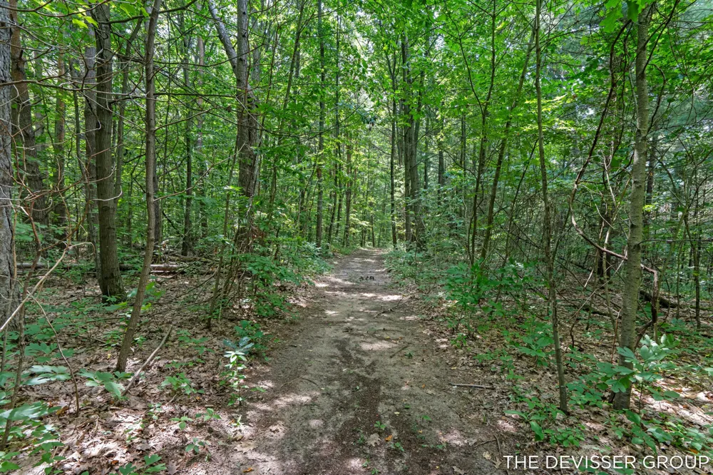 5837 Timber Bluff Trail Fennville, MI 49408