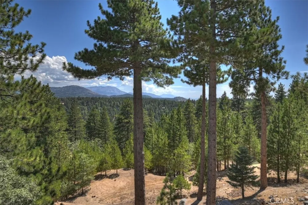 1781 Nob Hill Running Springs, CA 92382