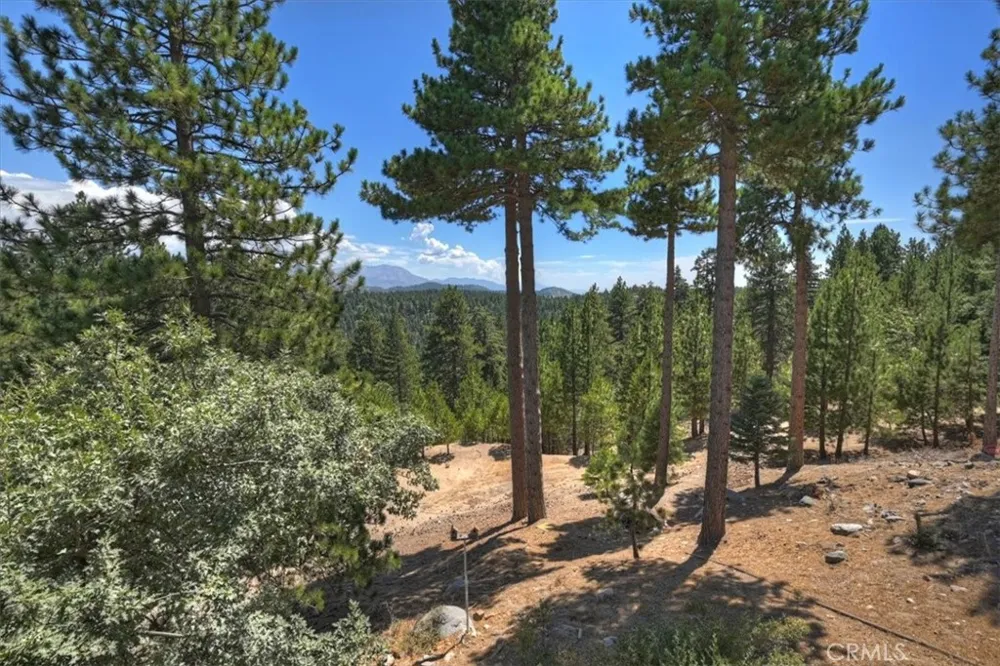 1781 Nob Hill Running Springs, CA 92382