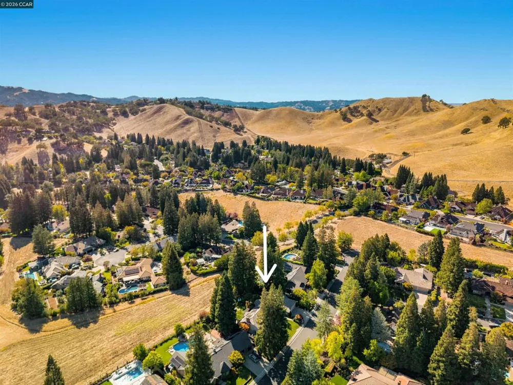 529 Carleton Way Alamo, CA 94507
