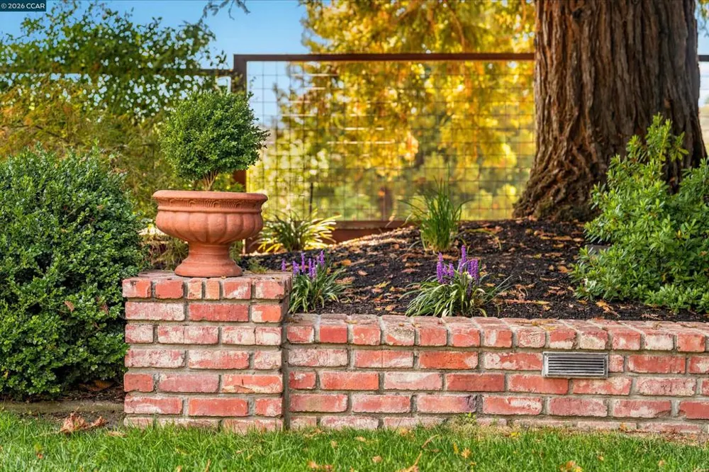 529 Carleton Way Alamo, CA 94507