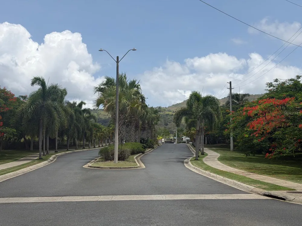 Address Not Shown Juncos, PR 00777