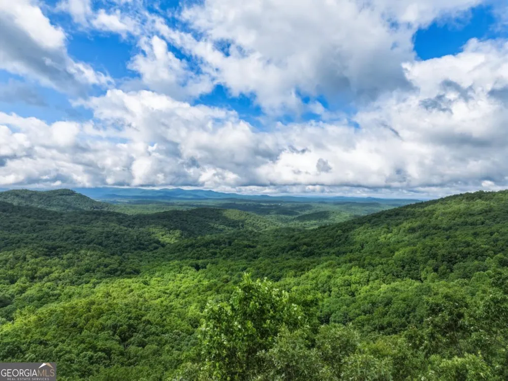 1220 Walnut RDG Ellijay, GA 30536