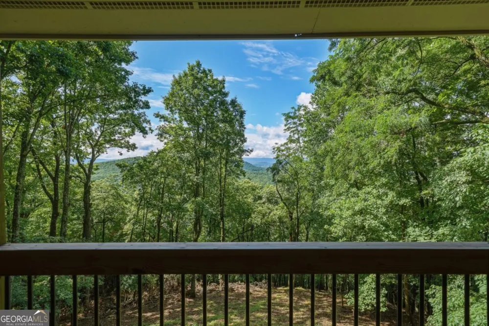1220 Walnut RDG Ellijay, GA 30536
