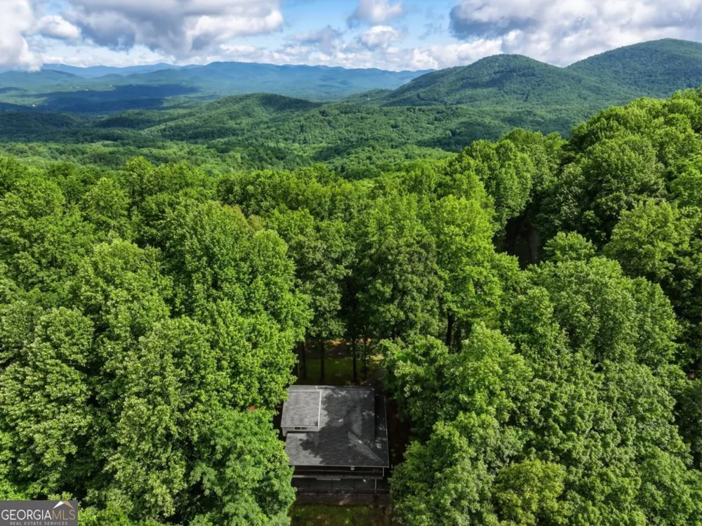 1220 Walnut RDG Ellijay, GA 30536