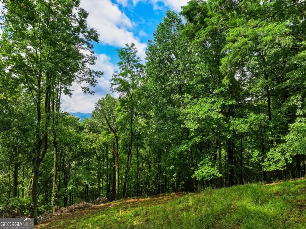 1220 Walnut RDG Ellijay, GA 30536