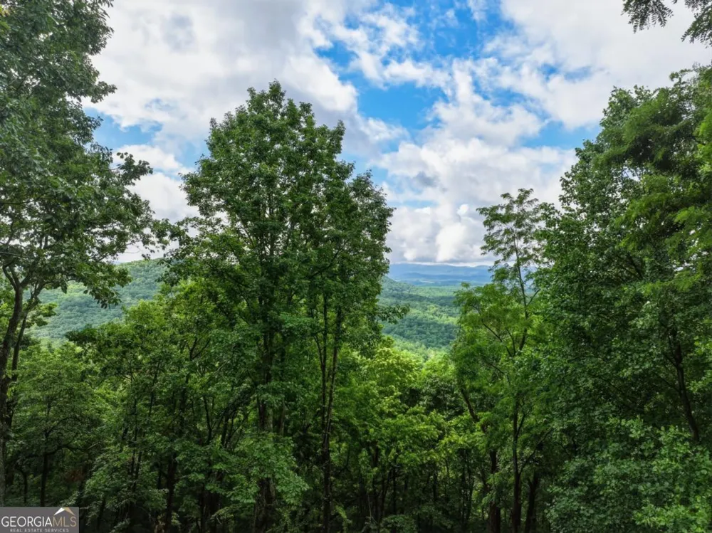 1220 Walnut RDG Ellijay, GA 30536
