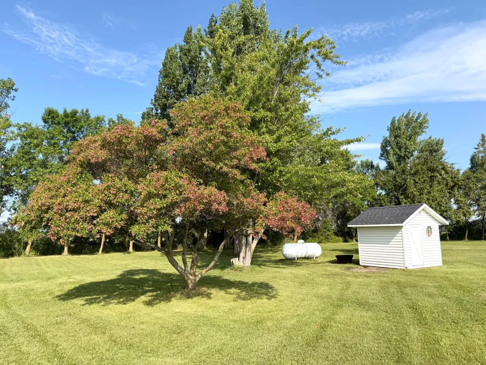28707 350th Avenue Roseau, MN 56751