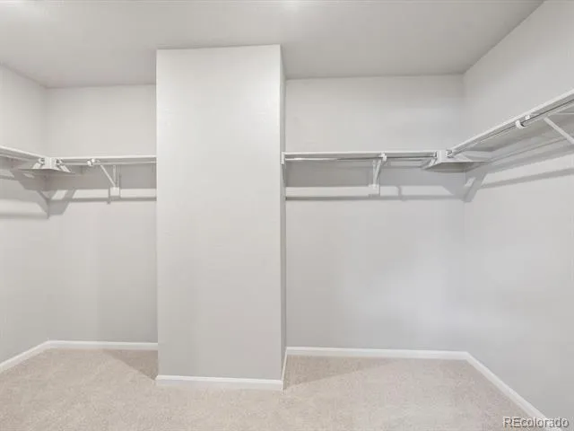 4634 Sugarcane Street Johnstown, CO 80534