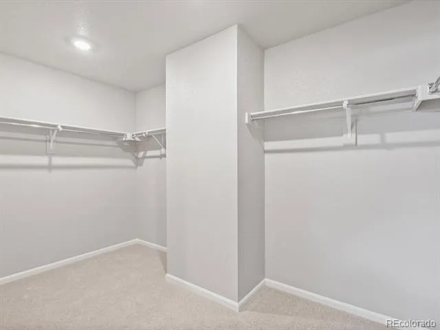 4634 Sugarcane Street Johnstown, CO 80534