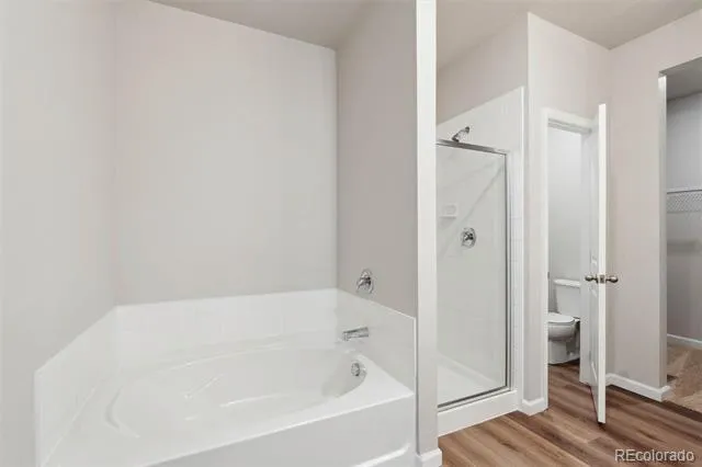 968 Cascade Falls Street Severance, CO 80550
