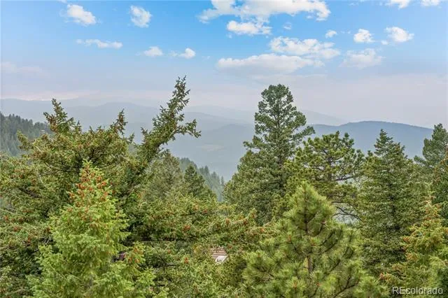 5457 Bear Mountain Drive Evergreen, CO 80439