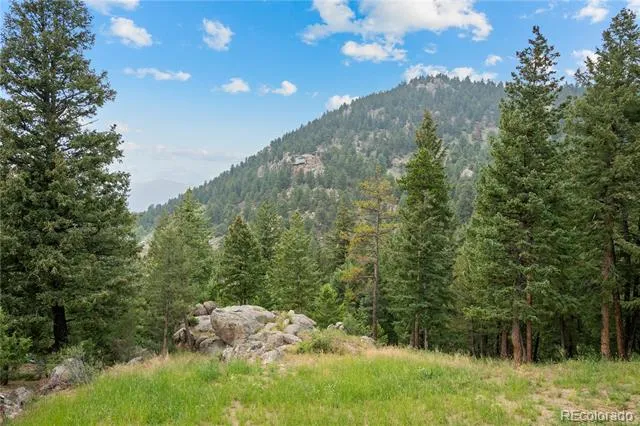 5457 Bear Mountain Drive Evergreen, CO 80439