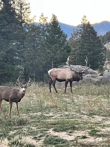 5457 Bear Mountain Drive Evergreen, CO 80439
