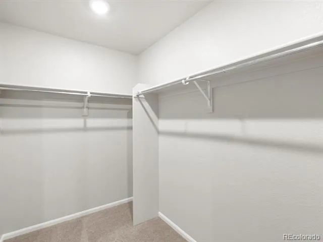 538 98th Avenue Greeley, CO 80634
