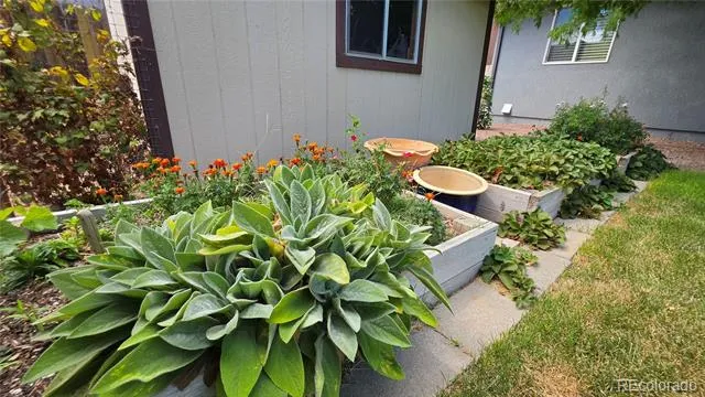 2224 Crestwood Lane Pueblo, CO 81008