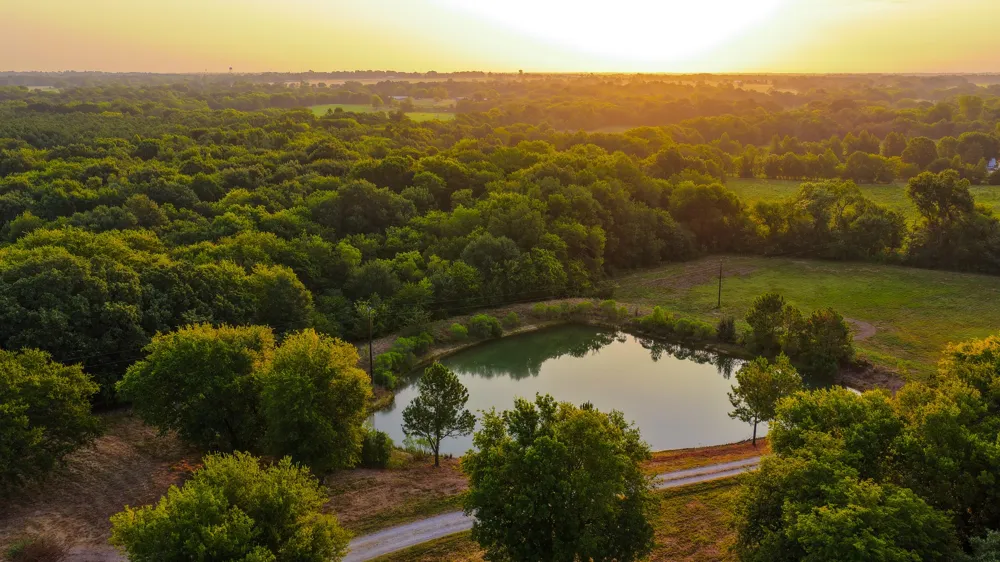 230 COUNTY ROAD 2434 Sulphur Springs, TX 75482