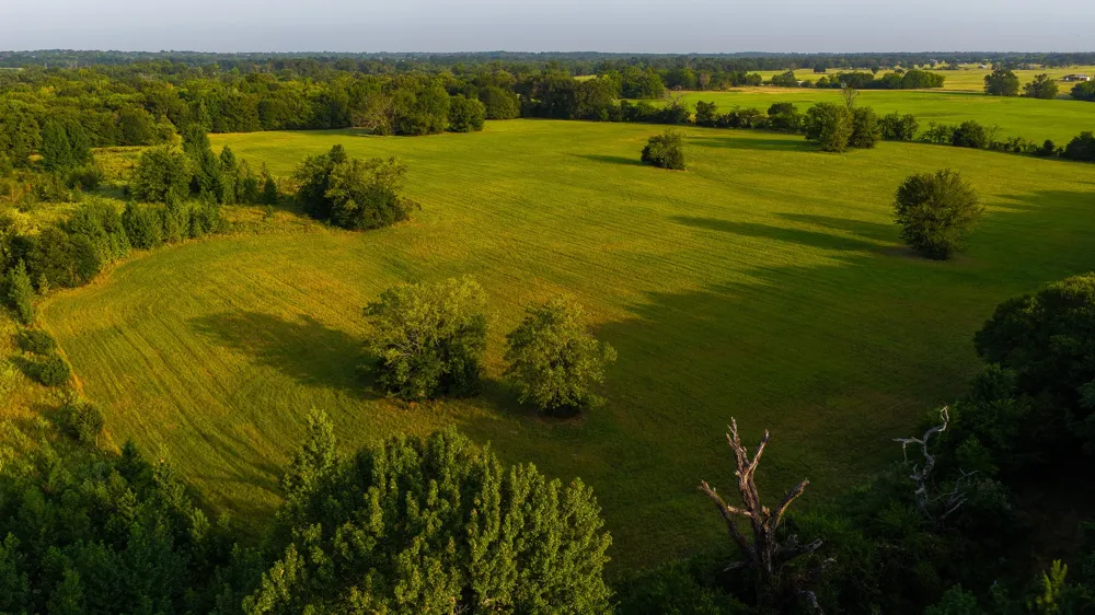 230 COUNTY ROAD 2434 Sulphur Springs, TX 75482