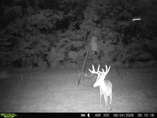 230 COUNTY ROAD 2434 Sulphur Springs, TX 75482