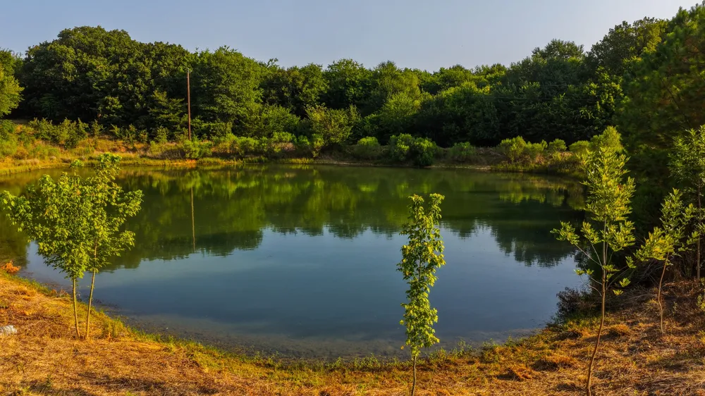 230 COUNTY ROAD 2434 Sulphur Springs, TX 75482