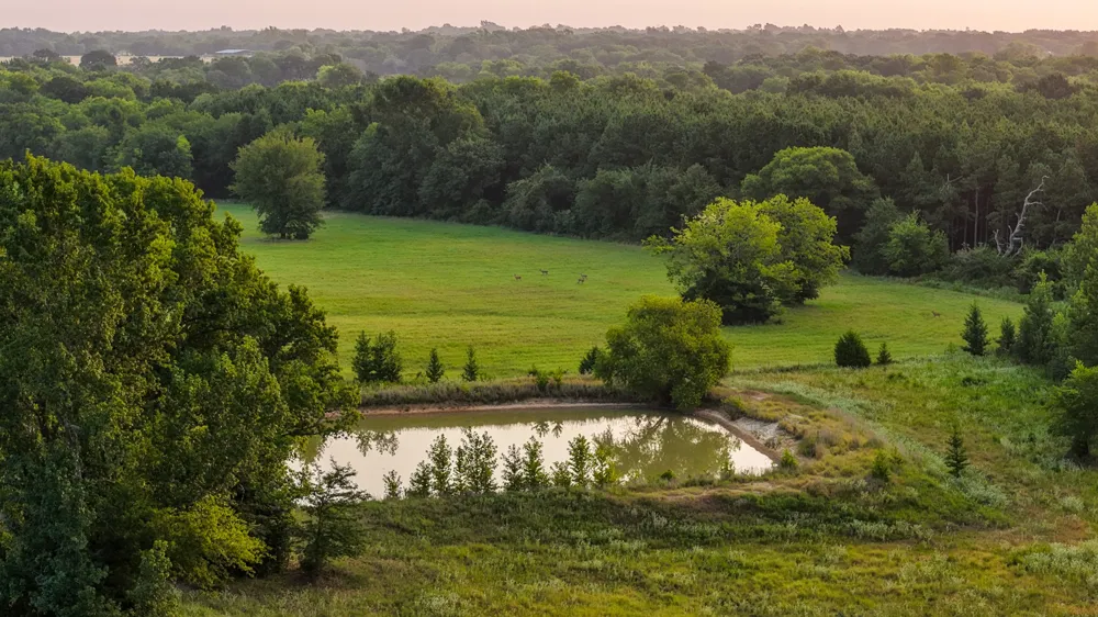 230 COUNTY ROAD 2434 Sulphur Springs, TX 75482