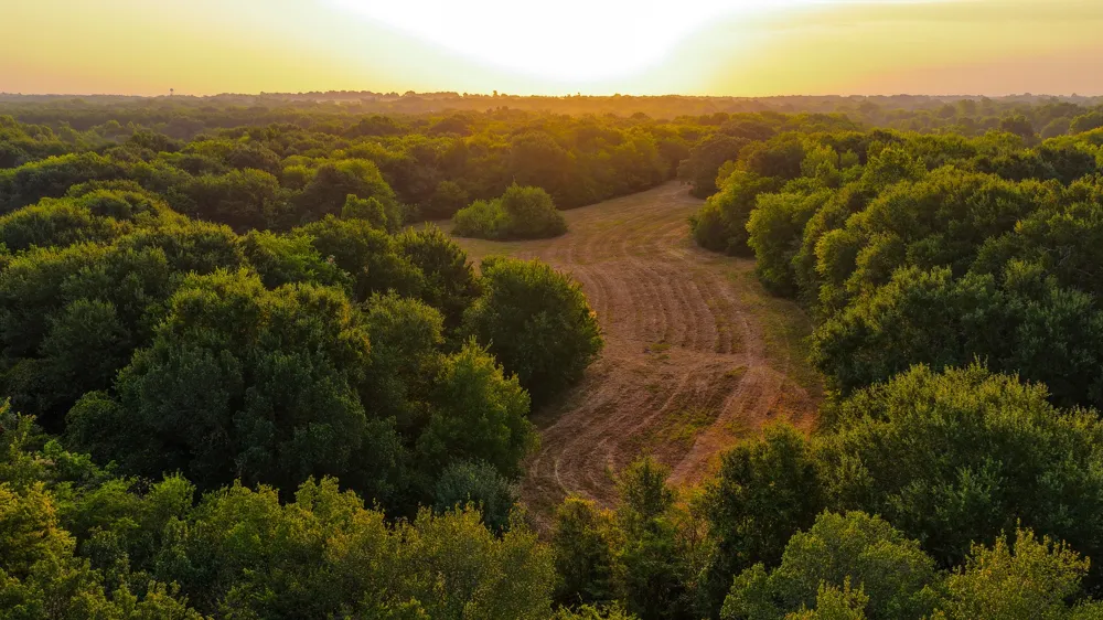 230 COUNTY ROAD 2434 Sulphur Springs, TX 75482