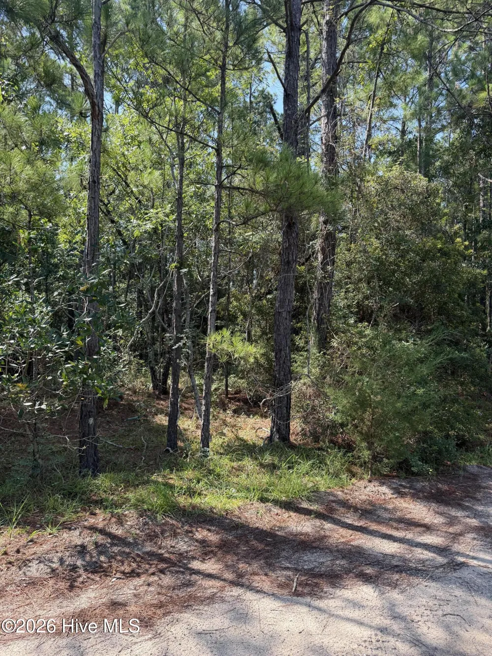 2857 Robin Drive SW Shallotte, NC 28470