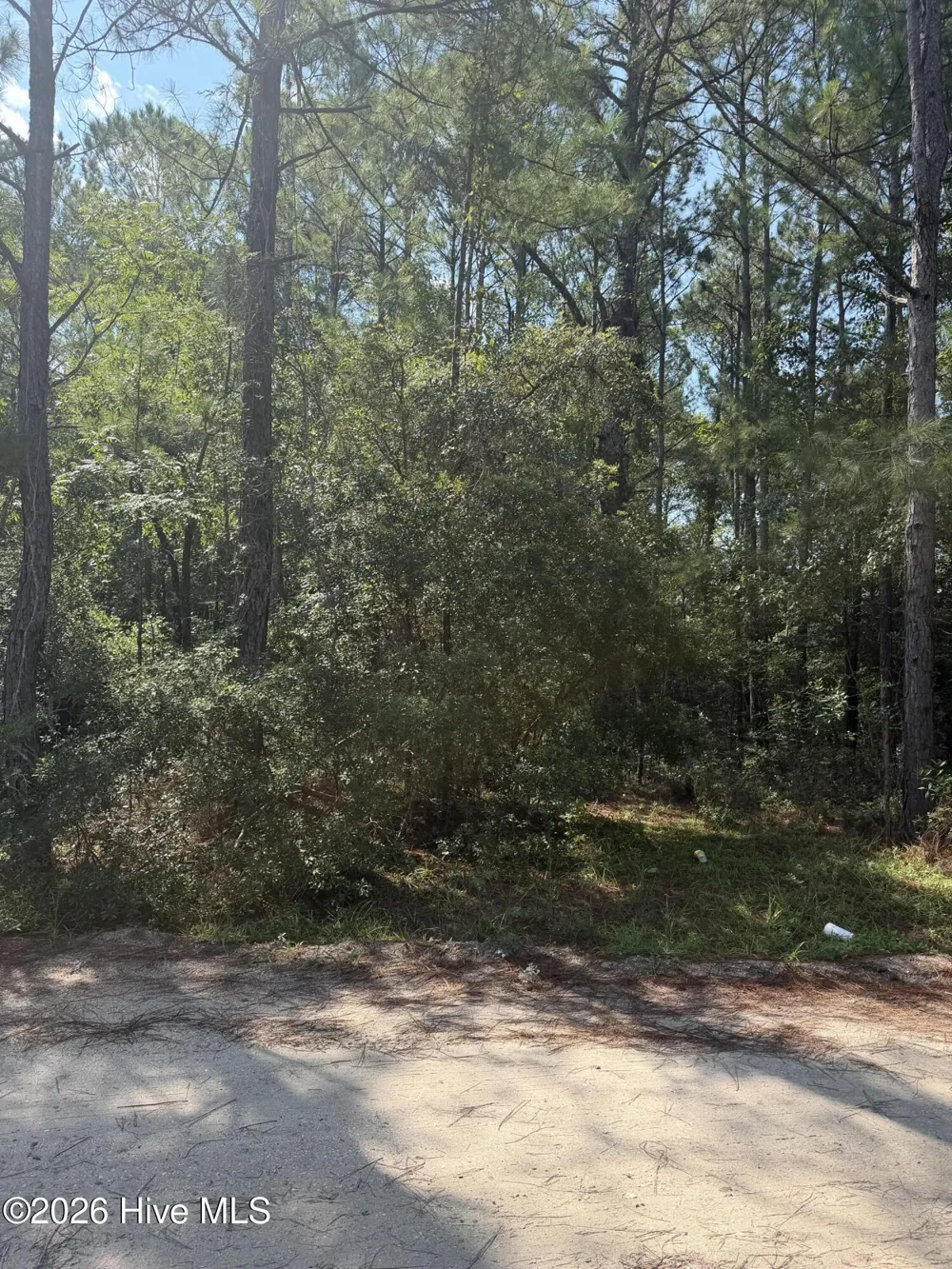 2857 Robin Drive SW Shallotte, NC 28470