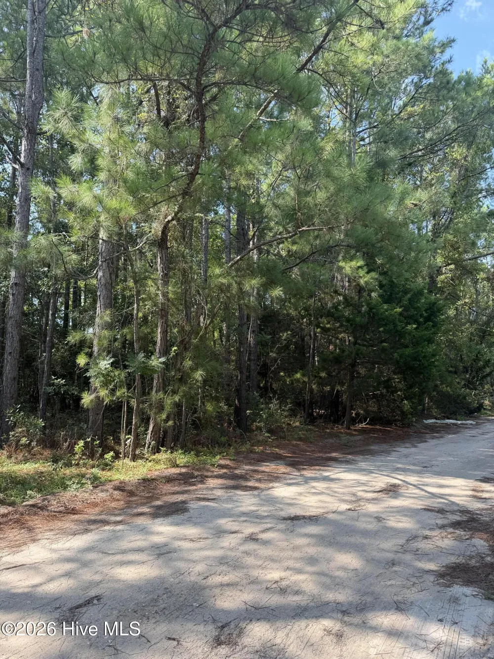 2853 Robin Drive SW Shallotte, NC 28470