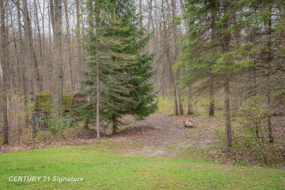 1180 Winding Wood Drive Grant Township, MI 48622