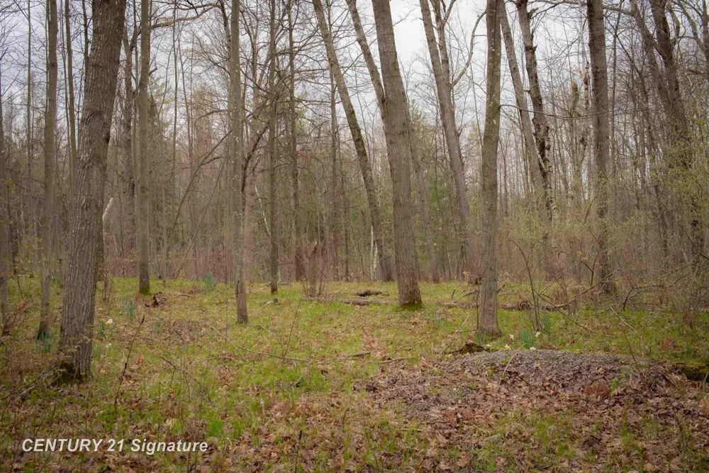 1180 Winding Wood Drive Grant Township, MI 48622