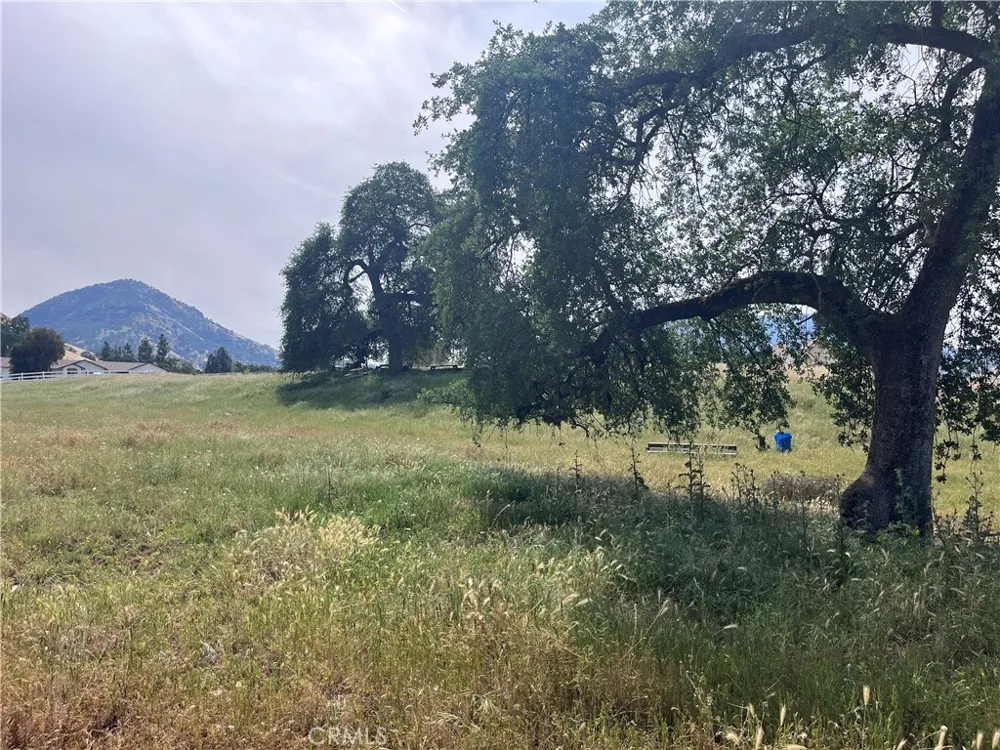 Lupine Drive Sanger, CA 93657