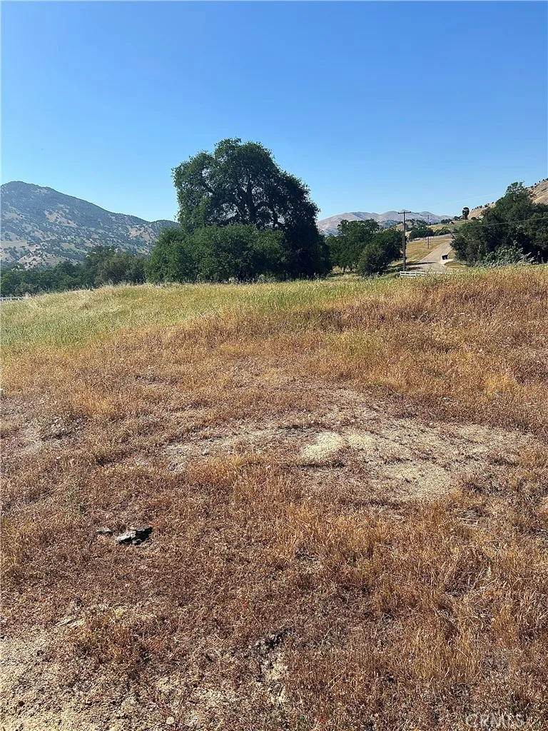 Lupine Drive Sanger, CA 93657