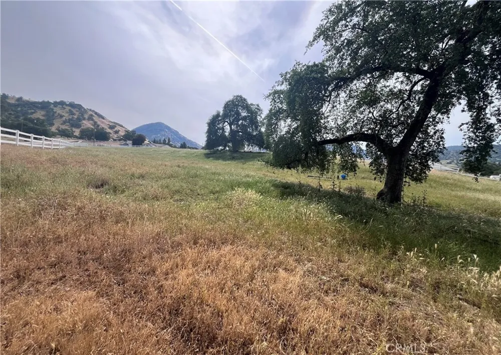 Lupine Drive Sanger, CA 93657