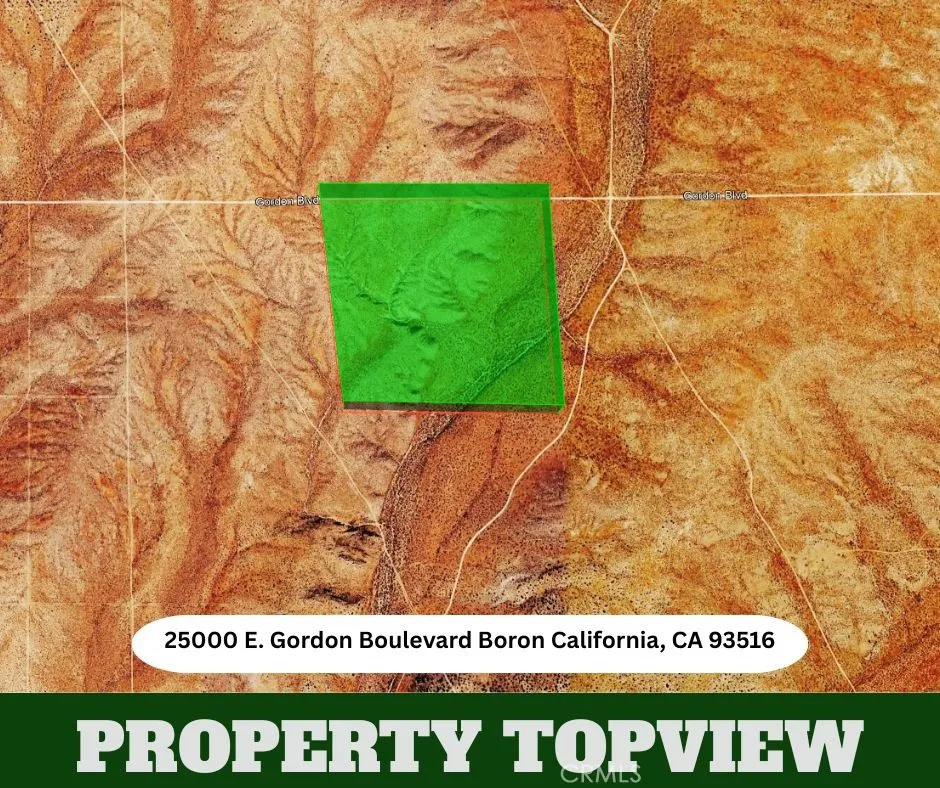 25000 Gordon Boulevard Boron, CA 93516