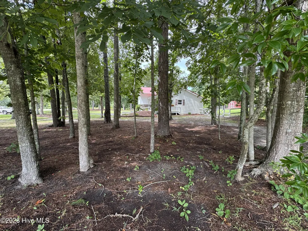 118 Oakwood Drive Havelock, NC 28532
