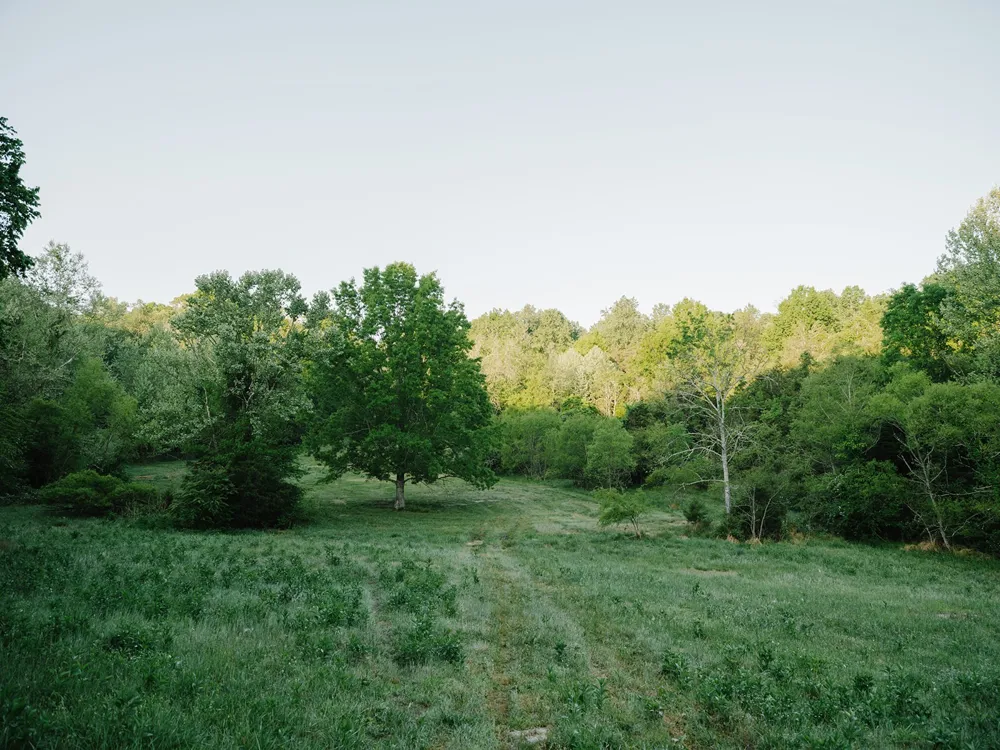 1647 Groveland Ridge Rd Columbia, TN 38401