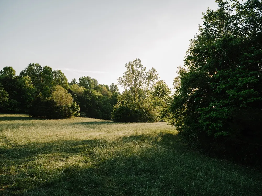 1647 Groveland Ridge Rd Columbia, TN 38401