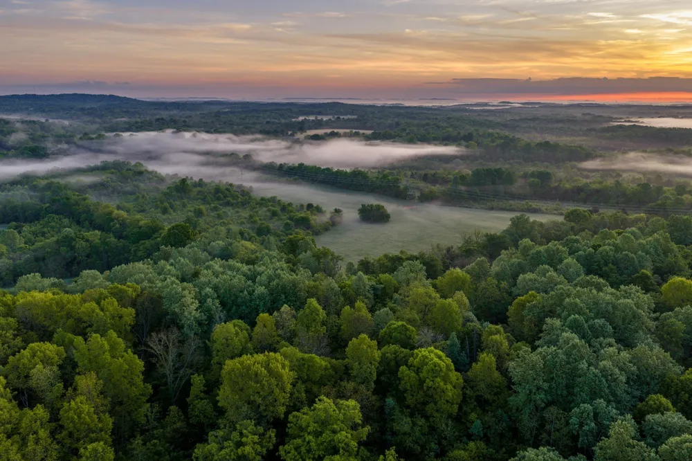 1647 Groveland Ridge Rd Columbia, TN 38401